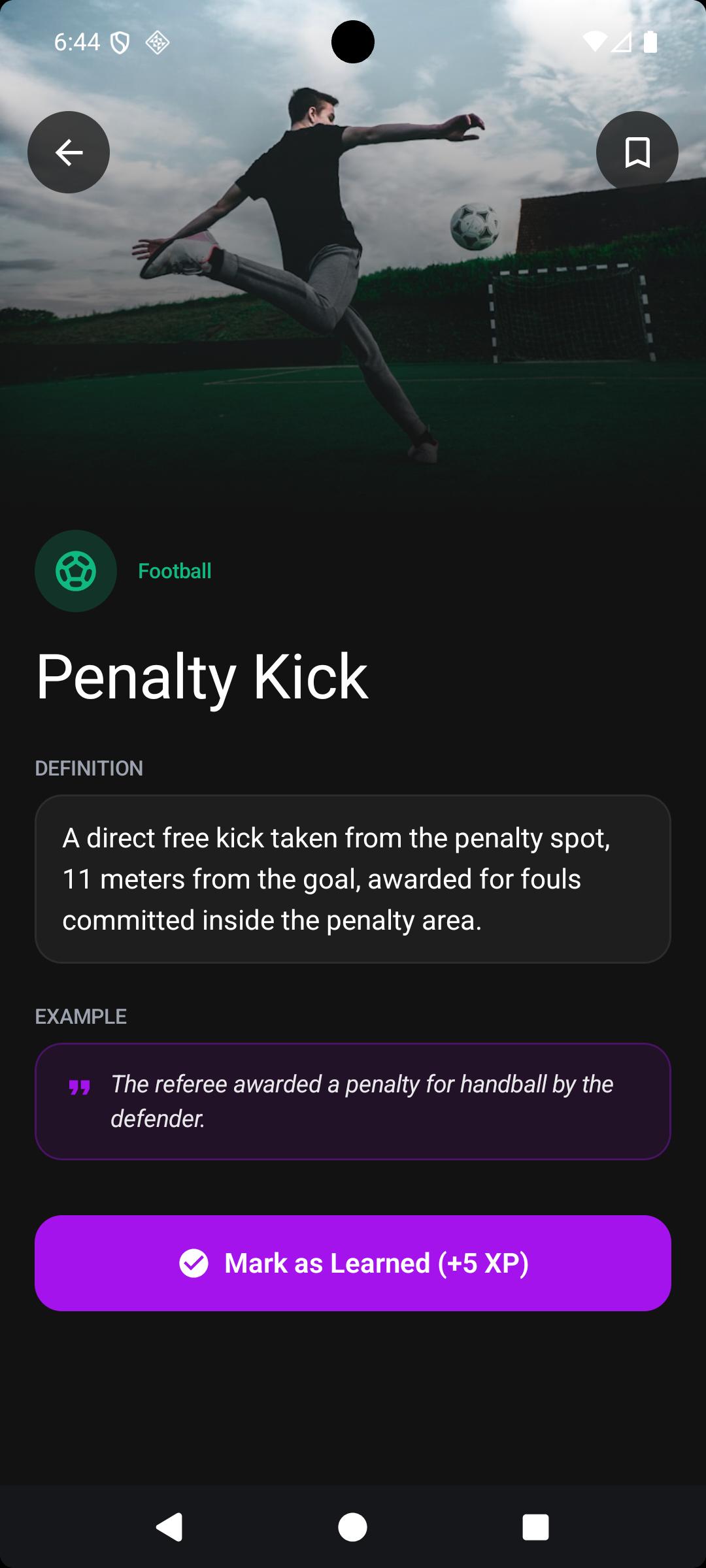 Interactive Flashcards